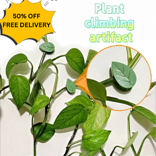 Plant Fixture Clips 10pcs Plant Climbing Wall Clips Acrylic Adhesive Stickers for Indoor/outdoor